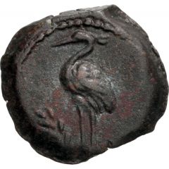 Dichalkon - Anonymous Alexandria