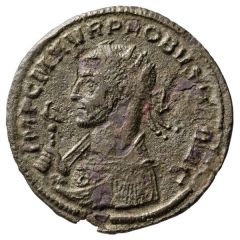 Antoninianus - Probus ADVENTVS PROBI AVG