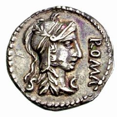 Denarius - Clodius Macer [ ] AFRICAE