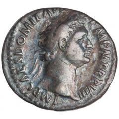 Denarius - Domitian IMP XVII COS XIIII CENS P P P, Minerva