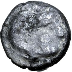 Obol Leierblume Type