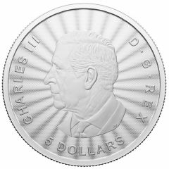 5 Dollars - Charles III The Majestic Polar Bears (Premium Bullion)