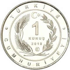 1 Kuruş Marbled Duck