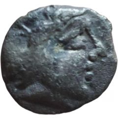Drachm with hippophorus