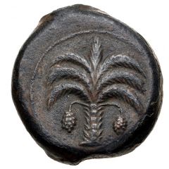 Æ18 Carthage