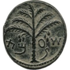Middle bronze - Simeon bar Kosevah Year Two