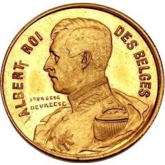 20 Francs - Albert I French text - Pattern