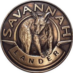 Medal - Queensland Rail - Savannah Lander Tourist Souvenir