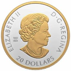 20 Dollars - In the name of Elizabeth II Celebrate Love