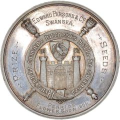 Award Swansea Medal
