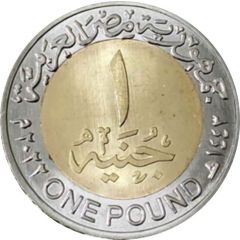 1 Pound People with Disabilities