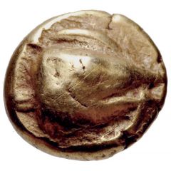 Hemihekte