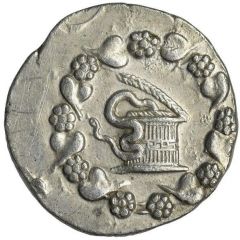 Tetradrachm Cistophoric Type