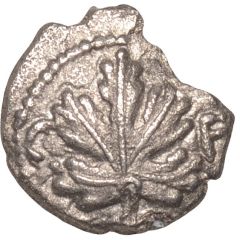 Silver Minim - Verica Verica Mini Vine Leaf