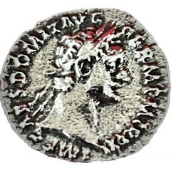 Replica WRL - Reproduction - Denarius - Domitian P M TR POT III IMP V COS X P P, Minerva