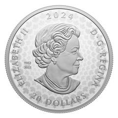 20 Dollars - Elizabeth II Amber Valley