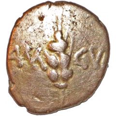 Quarter Stater - Agr