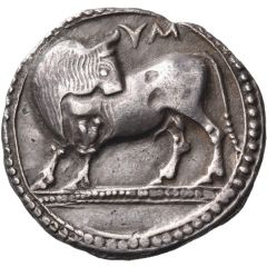 Stater