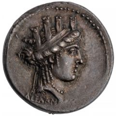 Denarius Aemilia: Marcus Aemilius Lepidus, ALEXANDREA / PON͡F·MAX TVTOR·REG S·C M·LEPIDVS