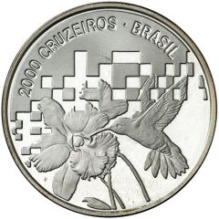 2000 Cruzeiros Conference On Environment and Development