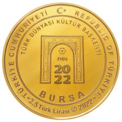 2.5 Lira Bursa