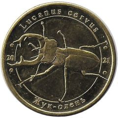 1 Zlotnik European Stag Beetle