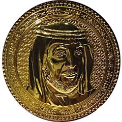 Medal - Critical Infrastructure and Coastal Protection Authority