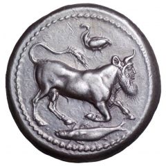 Tetradrachm
