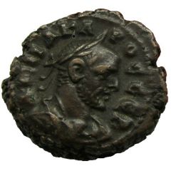 Tetradrachm - Carus Alexandria