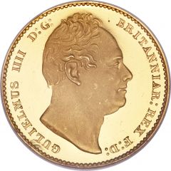 1 Sovereign - William IV