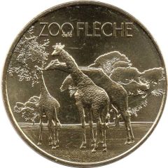 Zoo de la Flèche - Girafes
