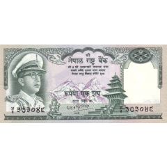 100 Rupees