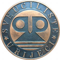 Universitas studiorum Fluminensis