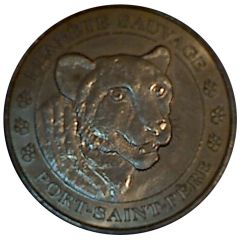 Monnaie de Paris Tourist Token - Port-Saint-Père Planète Sauvage - Le guépard