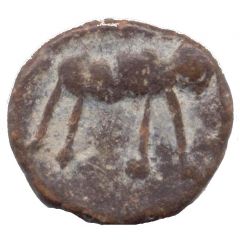 1 Unit - Ikshvaku dynasty