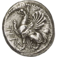 Tetradrachm - Tele[...]