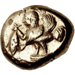 Stater