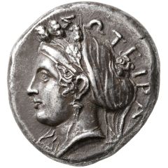 Tetradrachm dolphin