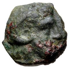 Æ13