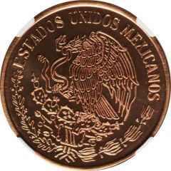 100 000 Pesos Pattern, Calles, Copper