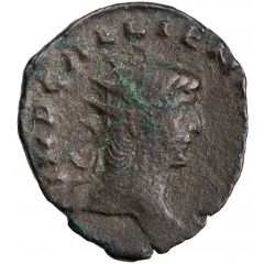 Antoninianus - Gallienus P M TR P VII COS