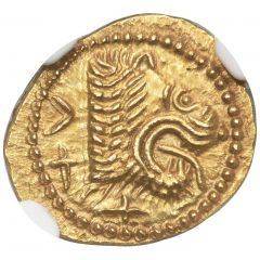 Gold 25 Asses Lion's head series I