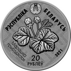20 Roubles Yelnya