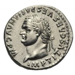 Denarius - Titus TR P IX IMP XV COS VIII P P