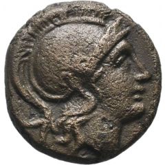 Æ14 - Lysimachos Lysimachia