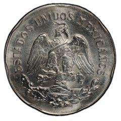 6 Pesos Pattern, Tortuga Verde, Iron-Nickel