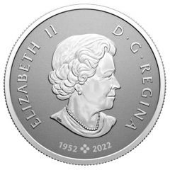 10 dollars - Elizabeth II Welcome to the World!