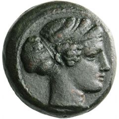 Hexas