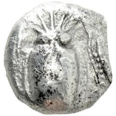 Stater