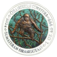 Bullion - Orangutan Sumatera Coloured